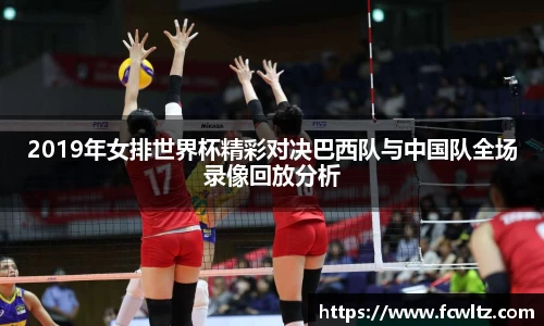 2019年女排世界杯精彩对决巴西队与中国队全场录像回放分析